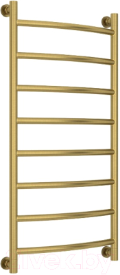 Полотенцесушитель водяной Сунержа Галант+ 100x50 / 051-0200-1050