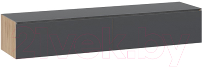 Тумба ТриЯ Глосс ТД-319.03.11 (яблоня беллуно/стекло графит матовый) - фото