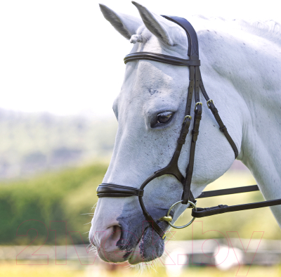 Оголовье для лошади Shires Velociti Jumping COB / 5077/HAVANA/COB