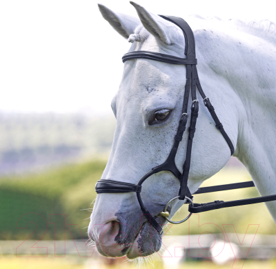 Оголовье для лошади Shires Velociti Jumping COB / 5077/BLACK/COB