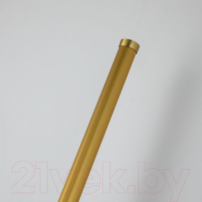 Бра FAVOURITE Reed 3001-1W
