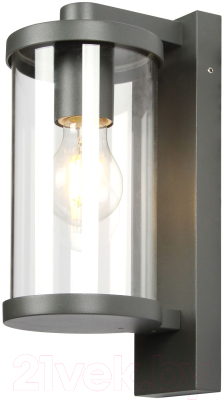 Бра уличное FAVOURITE Lukturis 3038-1W - фото