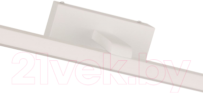 Подсветка для картин и зеркал FAVOURITE Scriptor 3044-2W