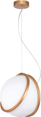 Потолочный светильник ST Luce Acerra SL1181.353.01 - фото