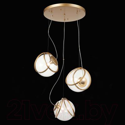 Люстра ST Luce Acerra SL1181.313.03