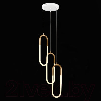 Потолочный светильник ST Luce Mofisto SL1579.303.03