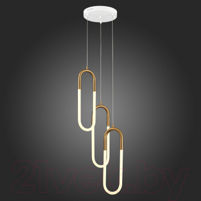 Потолочный светильник ST Luce Mofisto SL1579.303.03