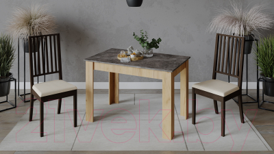 Обеденный стол ТриЯ Промо тип 2