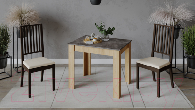 Обеденный стол ТриЯ Промо тип 1