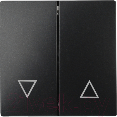 Клавиша для выключателя ЭРА 12-6203-05 / Б0047854 - фото