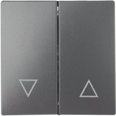 Клавиша для выключателя ЭРА 12-6203-12 / Б0047856 - фото