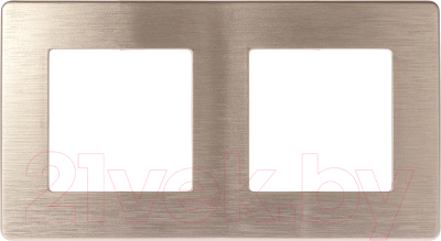 Рамка для выключателей и розеток ЭРА Сатин 12-5102-04 / Б0052512 - фото