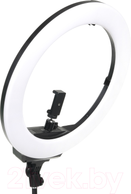 Кольцевая лампа Falcon Eyes BeautyLight 480LS Led со стойкой / 28492