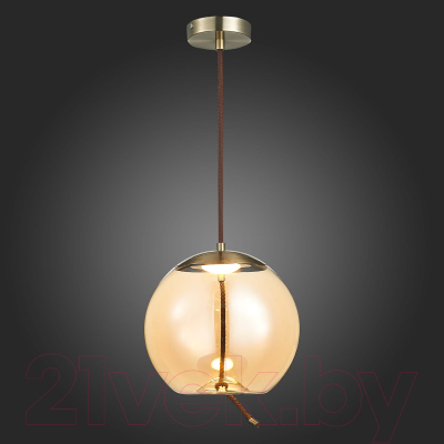 Потолочный светильник ST Luce Ozzio SL6108.313.01