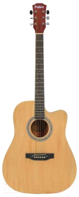Акустическая гитара Fabio F4110 N