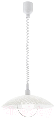 Потолочный светильник Eglo Alvez 96474 - фото