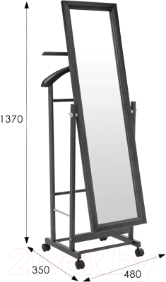 Стойка для одежды Мебелик Костюмная с зеркалом на колесах В 24Н
