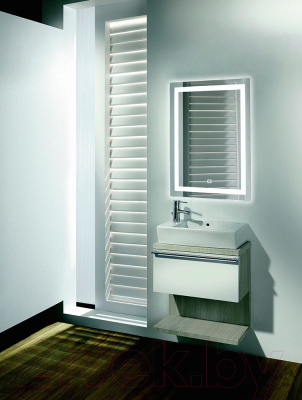 Зеркало Silver Mirrors Рига 60x80 / ФР-00001378