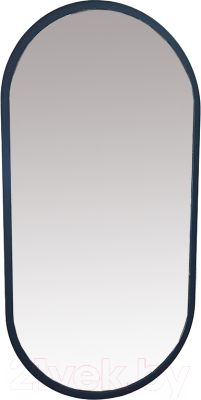 Зеркало Silver Mirrors Виола-лофт 50x100 / ФР-00002431 - фото