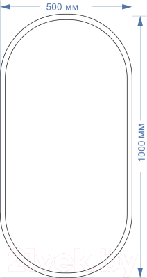 Зеркало Silver Mirrors Виола-лофт 50x100 / ФР-00002431