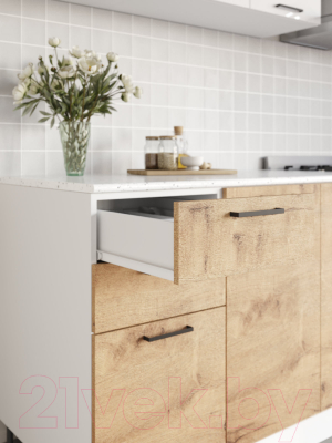 Кухонный гарнитур ДСВ Дуся 2.0