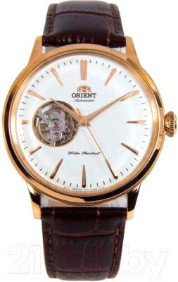 Часы наручные мужские Orient RA-AG0003S - фото