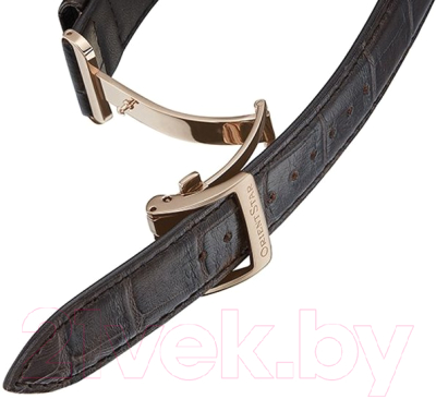 Часы наручные мужские Orient RE-AV0001S