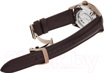 Часы наручные мужские Orient RE-AV0115B