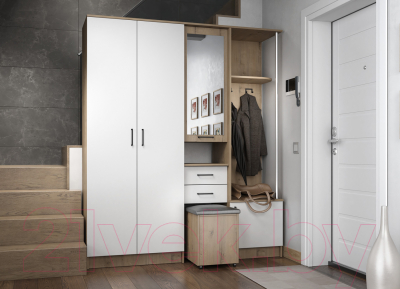 Секция в прихожую ДСВ Дуся 1.7