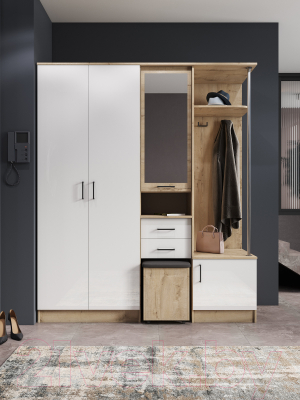 Секция в прихожую ДСВ Дуся 1.7