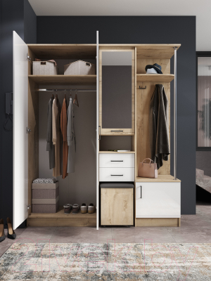 Секция в прихожую ДСВ Дуся 1.7