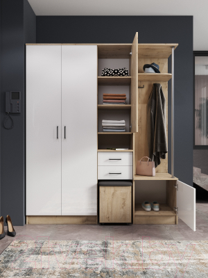 Секция в прихожую ДСВ Дуся 1.7