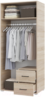 Шкаф Горизонт Мебель Victor 2ств 2ящ