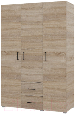 Шкаф Горизонт Мебель Victor 3ств 2ящ - фото