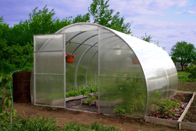 Теплица КомфортПром 3.3x8м(1) / 10014084