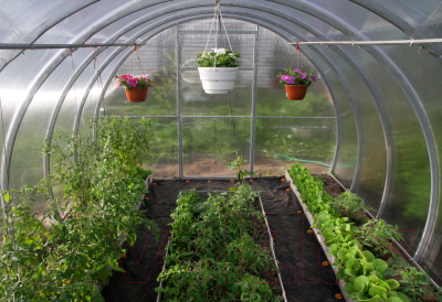 Теплица КомфортПром 3.3x6м(0.67) / 10014094