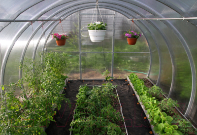 Теплица КомфортПром 3.3x10м(0.67) / 10014094