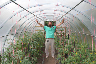 Теплица КомфортПром 3.3x10м(0.67) / 10014094