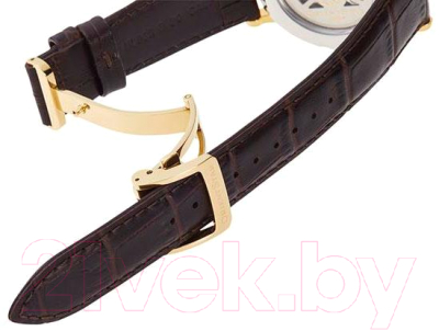 Часы наручные мужские Orient RE-AU0001S