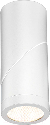 Потолочный светильник ST Luce ST650.532.10