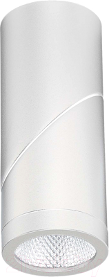 Потолочный светильник ST Luce ST650.532.10