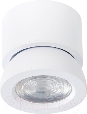 Потолочный светильник ST Luce ST654.532.10 - фото