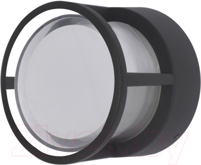 Бра уличное ST Luce Alceno SL9504.411.01 - фото