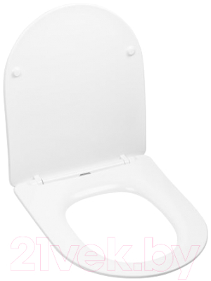 Сиденье для унитаза AV Engineering Art AVWHR204C - фото