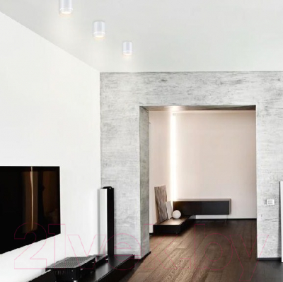 Точечный светильник Novotech Arum 357684