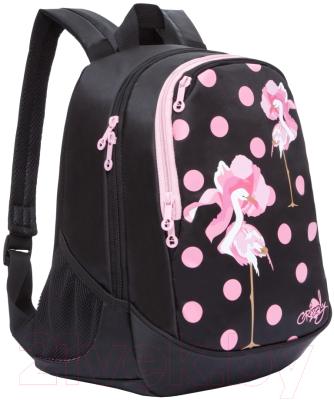 Школьный рюкзак Grizzly RD-843-11 - фото