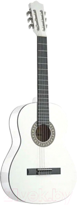 Акустическая гитара Belucci BC3605 WH - фото