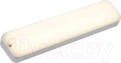 Светильник ЖКХ ЭРА SPB-103-0-40K-012 / Б0052937 - фото