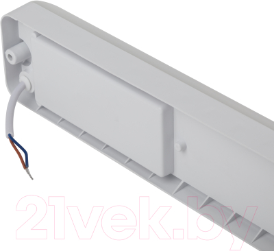 Светильник ЖКХ ЭРА SPB-103-0-40K-012 / Б0052937