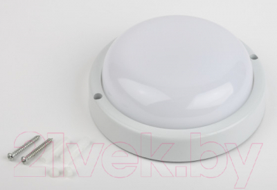 Светильник ЖКХ ЭРА SPB-201-0-40K-018 / Б0054579